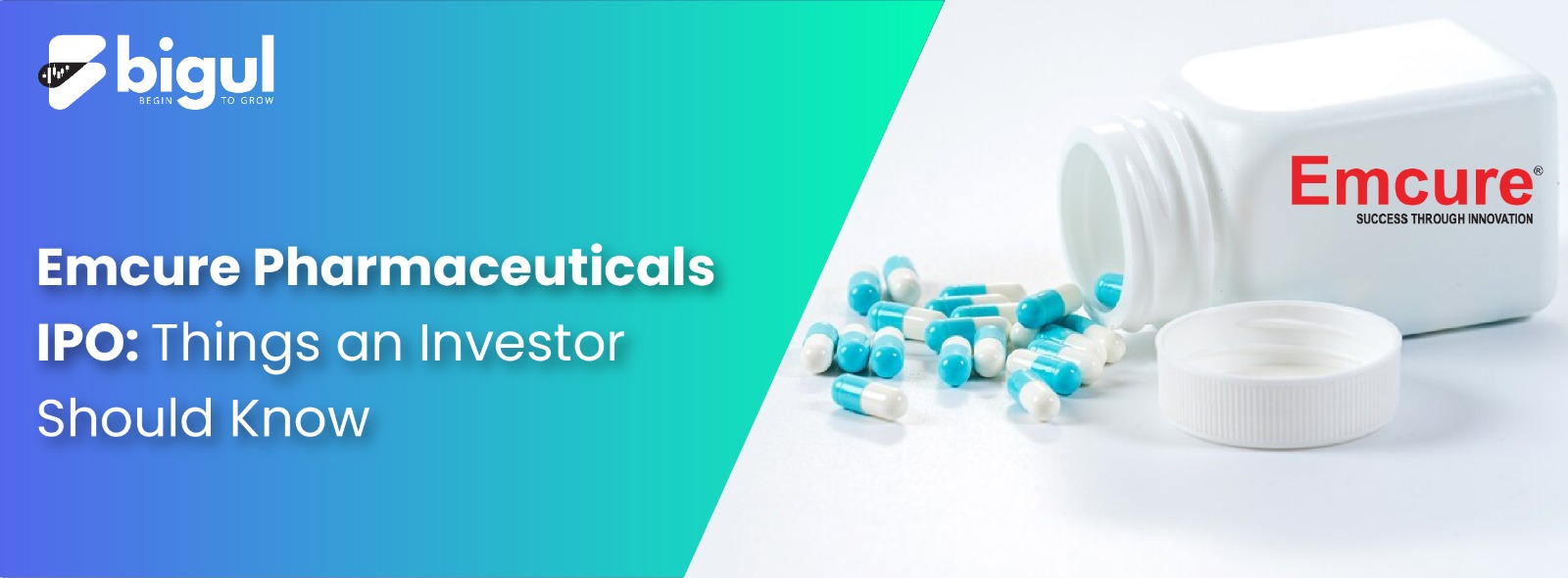 Emcure Pharmaceuticals IPO